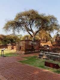 Wat Ratchaburana - old beautiful temple