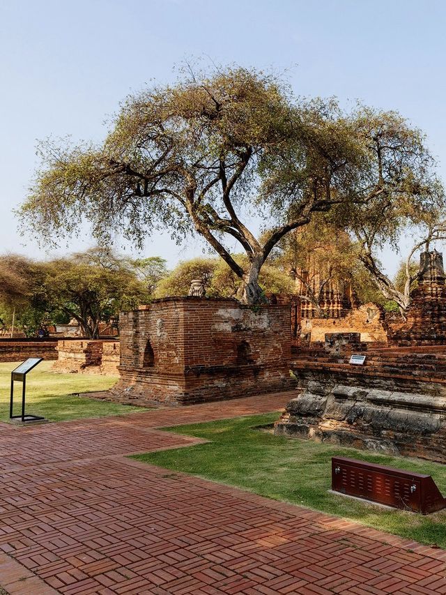 Wat Ratchaburana - old beautiful temple