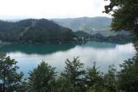 Serene Beauty of Lake Bled