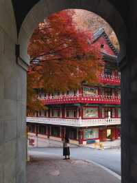 충북 단양 구인사 🍁