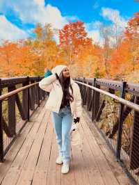가을의 캐나다 🍁