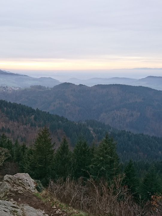 🌿 Exploring the Hills Around Freiburg