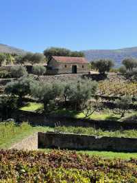 Douro Valley: Portugal’s Breathtaking Wine Wonderland