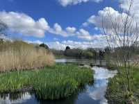 Birmingham in Bloom: A Lakeside, Parkside, and Campus Day Out