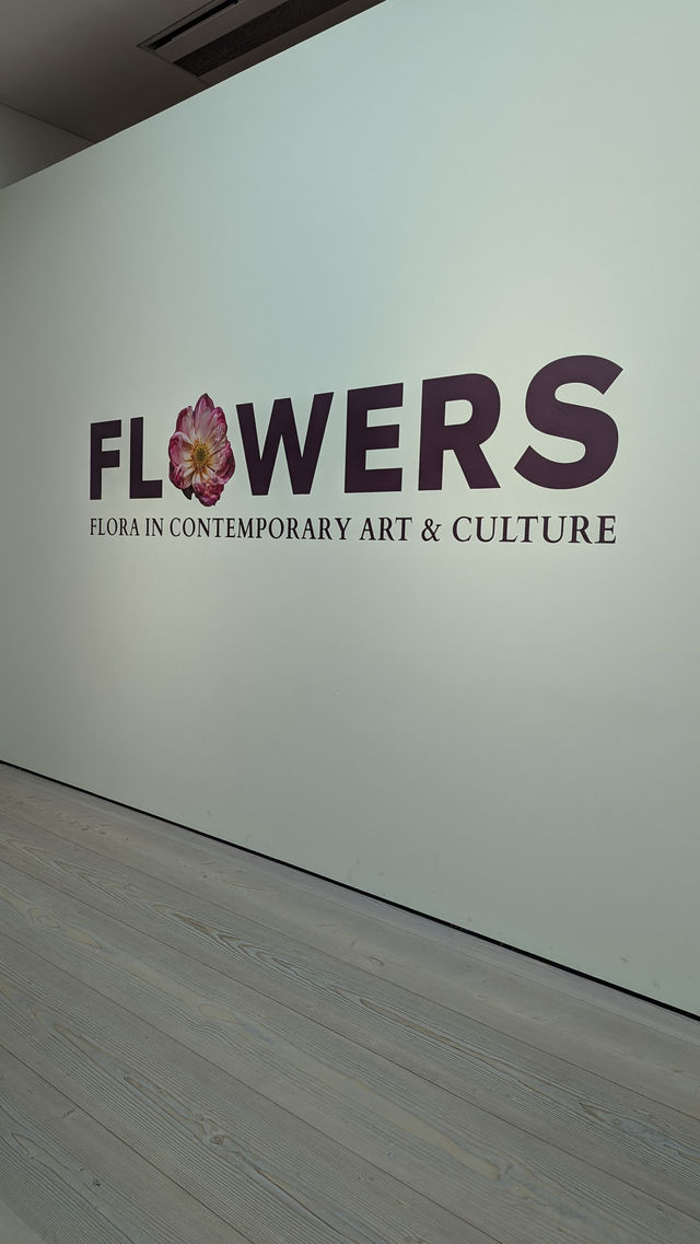 Saatchi Gallery: A Blooming Masterpiece 🌸🎨
