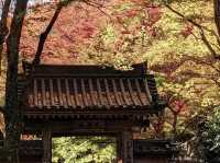 An ancient temple with a beautiful vermilion-painted Taho Pagoda and the a