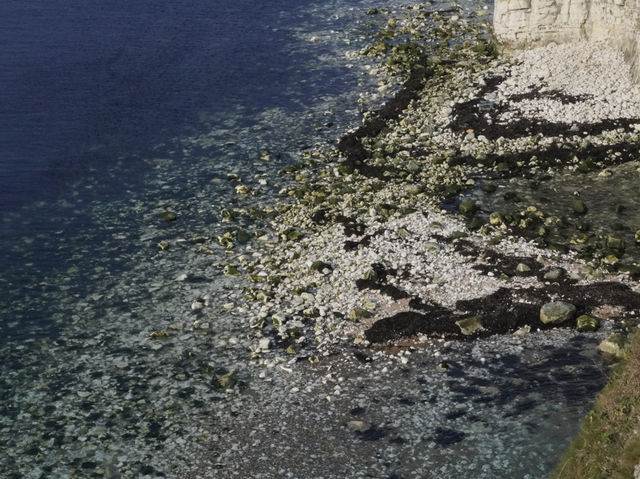 Old harry rocks