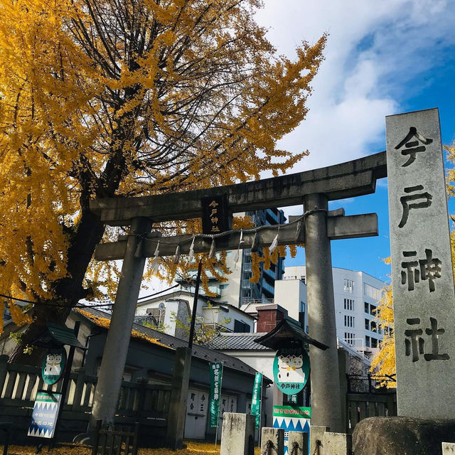 Asakusa Sui is famous for matchmaking
