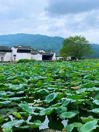 🏯 Chengkan: A Quiet Step Back in Time 🇨🇳