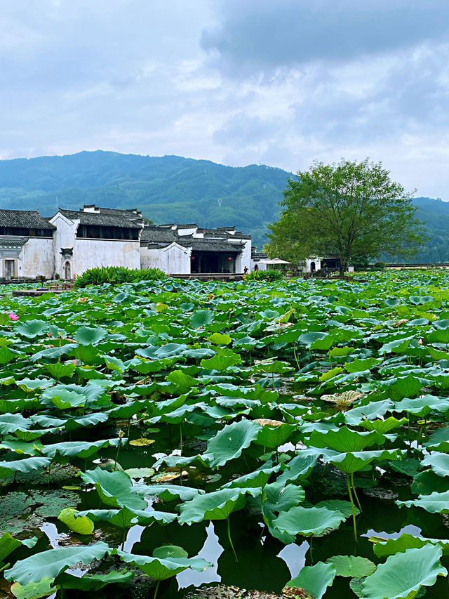 🏯 Chengkan: A Quiet Step Back in Time 🇨🇳
