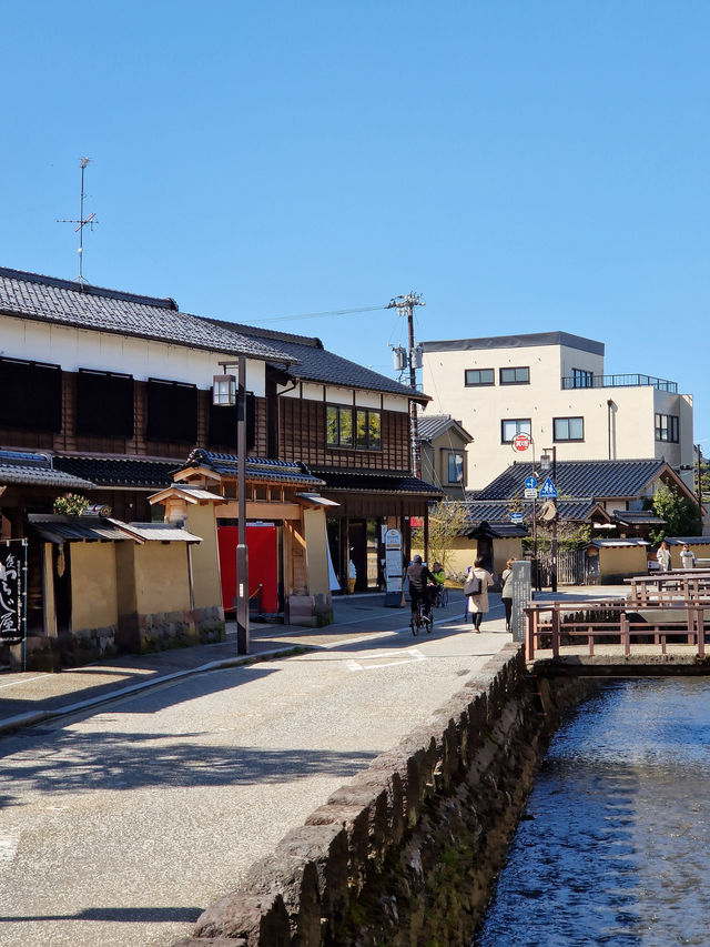 Kanazawa in 3 Days: A Cultural Feast (With Curry on Top!)