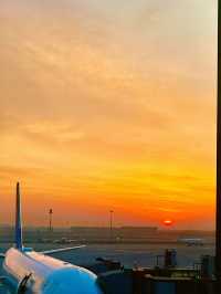 Explore the world’s most futuristic Airport: Daxing 