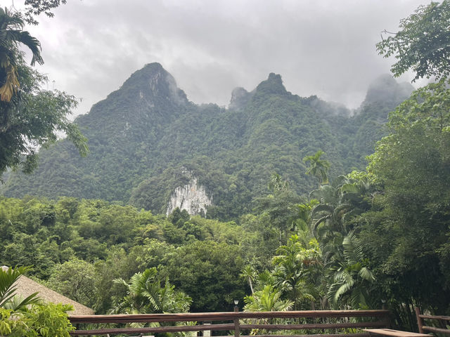 Khan Sok National Park- The real rain forest 