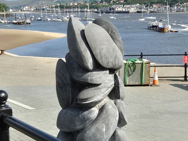 Conwy castle go and visit .