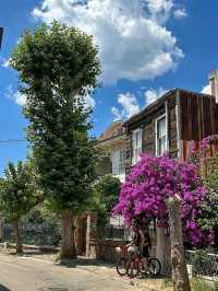 Heybeliada & Büyükada: Tranquil Escapes of the Princes’ Islands
