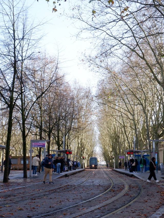 รีวิว Bordeaux เมืองไวน์สุดคลาสสิกที่มีเสน่ห์