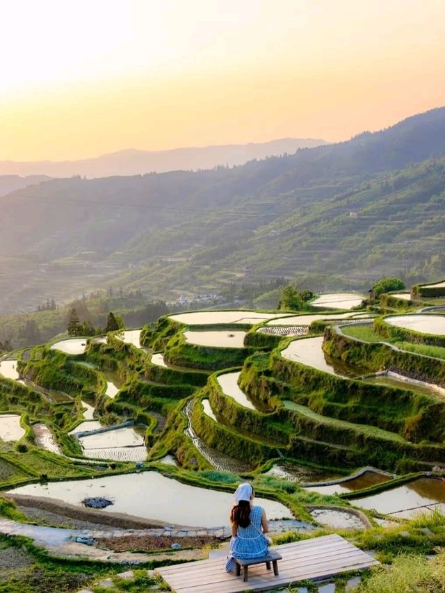 🏘️ Zhaoxing Dong Village – Hidden Harmony in the Hills of Guizhou