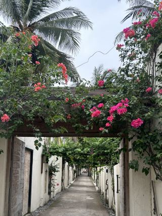 Gili Islands 100$: 3 Car-Free Islands with Turquoise Water & Soul-Healing Sunsets