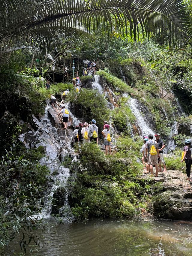 Янода Тропический парк (Хайнань) Янода Тропический парк (Хайнань)