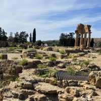 阿格里真托古廟漫步一日遊Temple of Olympian Zeus
