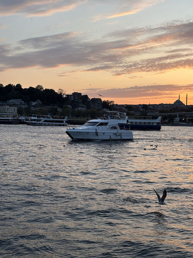 The Bosphorus⛴️
