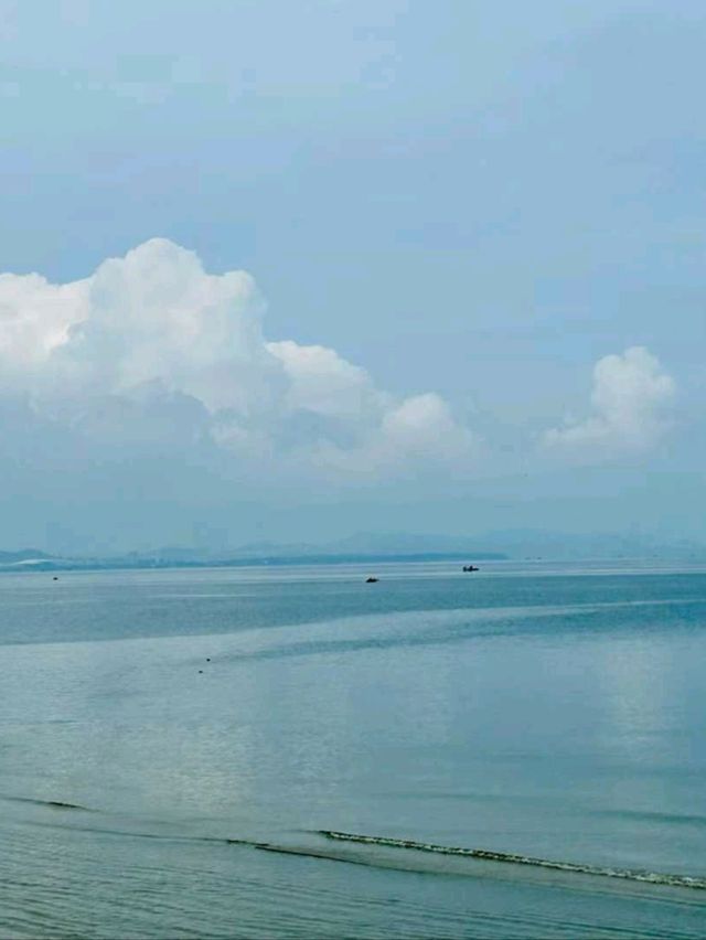 🚦❤️ Zhuhai is full of surprises