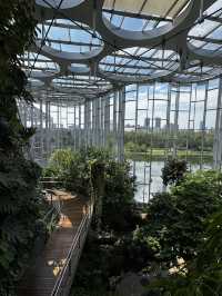 Shanghai Greenhouse Garden 🌿✨