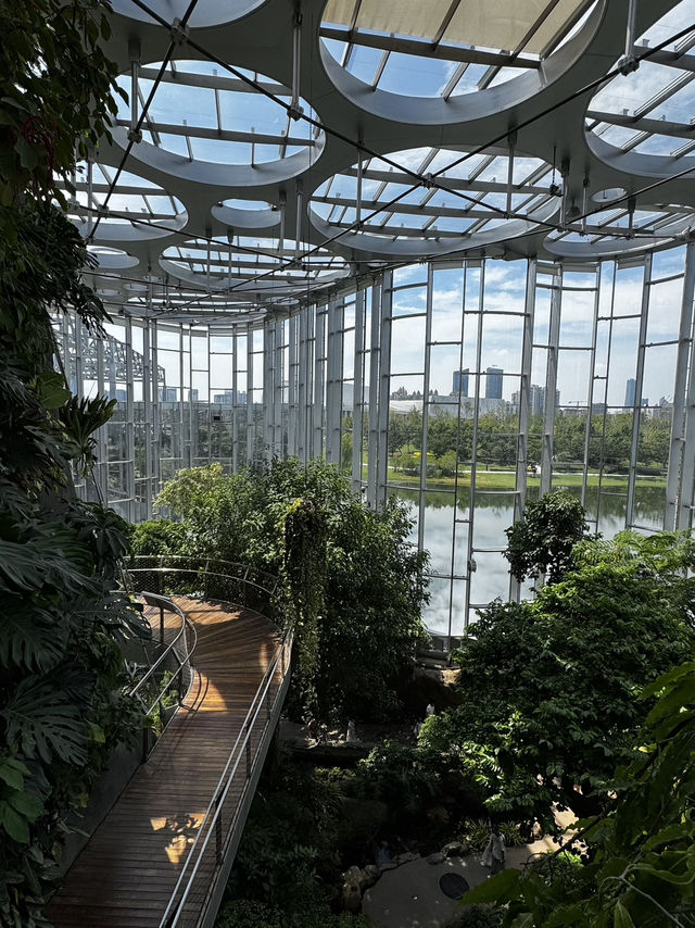Shanghai Greenhouse Garden 🌿✨