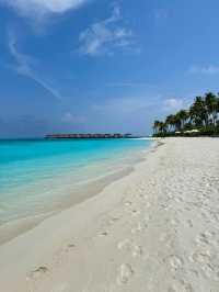 Avani+ Fares Maldives — Where Island Life Feels Effortless