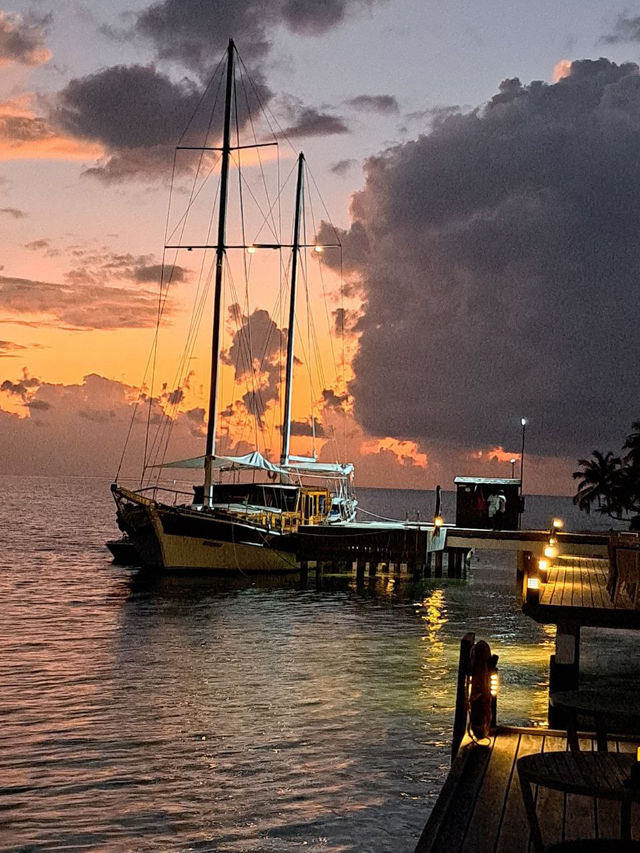 Vilamendhoo Island Resort — Where the Reef Speaks Louder Than Words