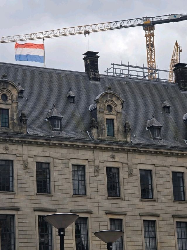 Rotterdam Guide — Modern Architecture and Creative Energy🍵🚅