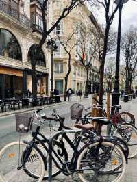 Fall Story Scene🍂