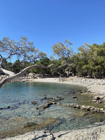 🍁 Моё путешествие по Фазелису – день спокойствия и открытий 🌿🏛️