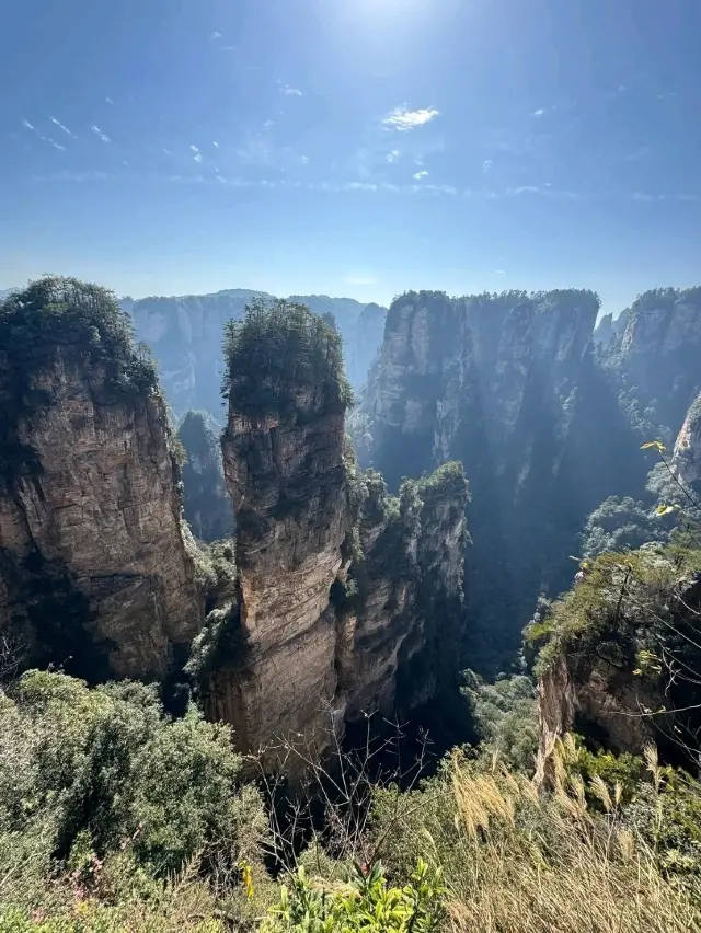 아바타 공원 매직
