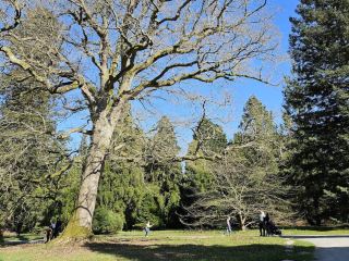 Bedgebury National Pinetum and Forest