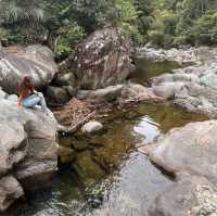 HUANGSHAN WILD MONKEY VALLEY 