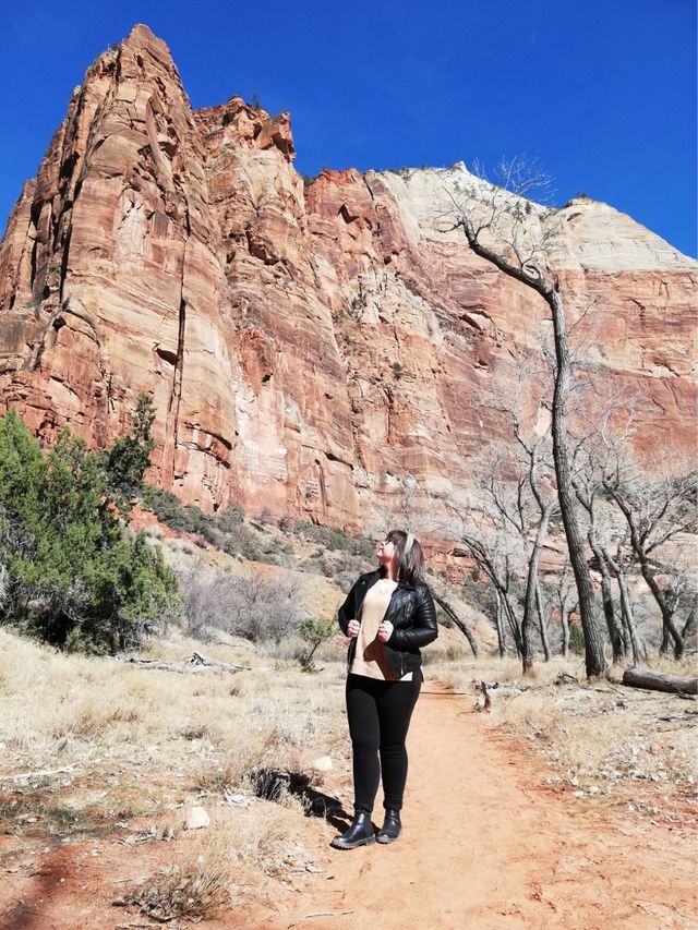 Stunning Beauty of Zion National Park 