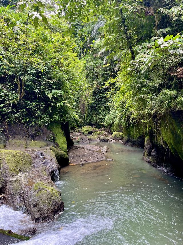 Taman Sari Waterfall🌿