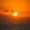 alatrix_9811