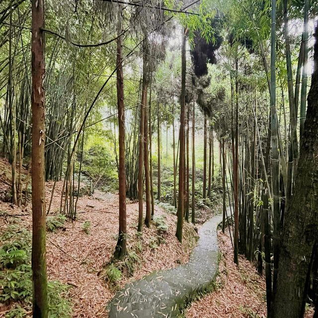 Emeishan Hiking Paradise