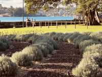 Sydney is already in autumn.