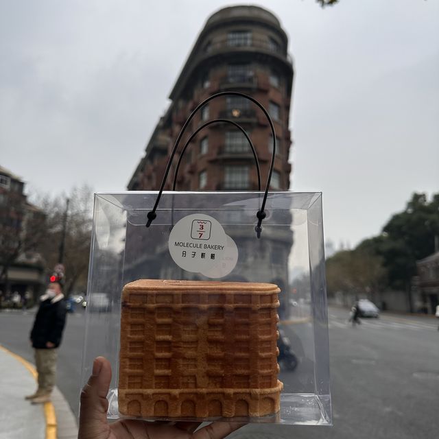 Shanghai City Walk 🌇