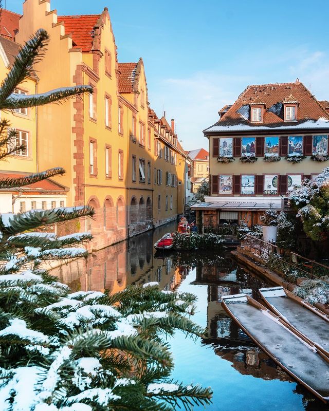 Christmas Delight in Colmar: Captured in 5 Captivating Photos 🤍✨