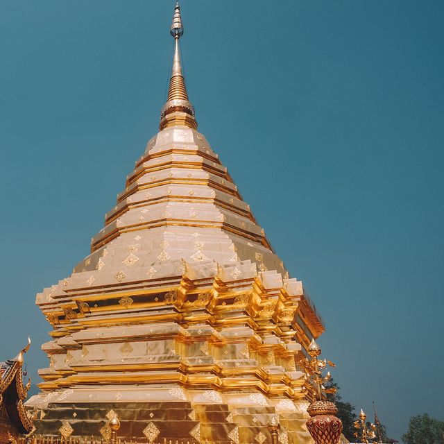 🇹🇭清邁素貼山公園