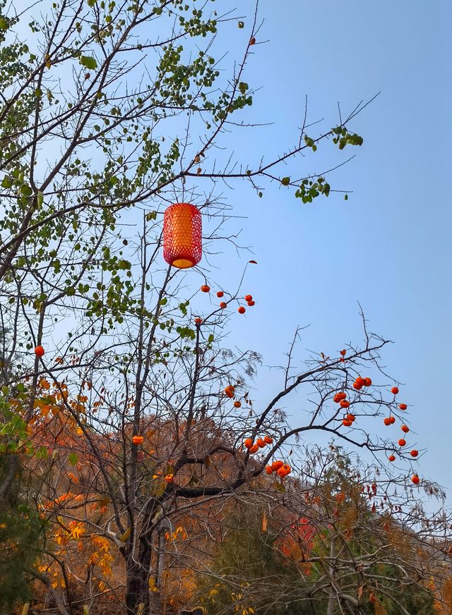 坡峰岭遊玩攻略