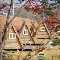 打卡韓國益山中央公園