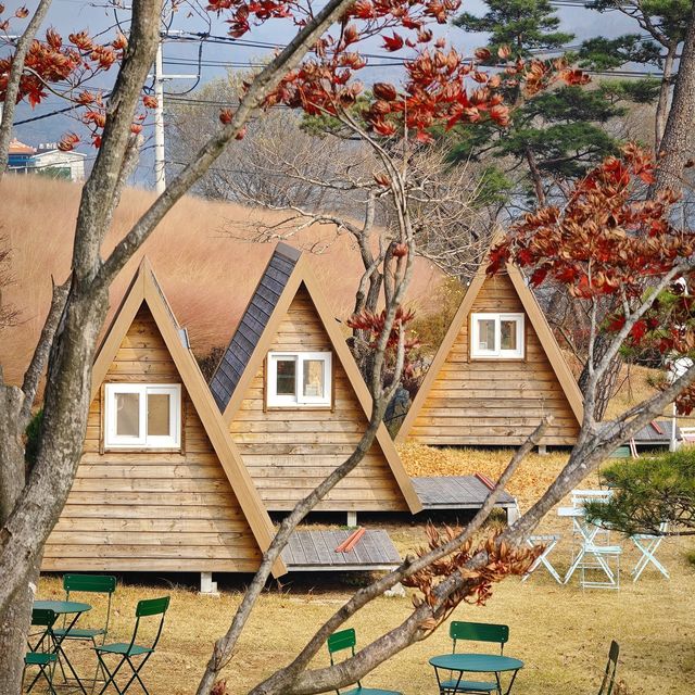 打卡韓國益山中央公園