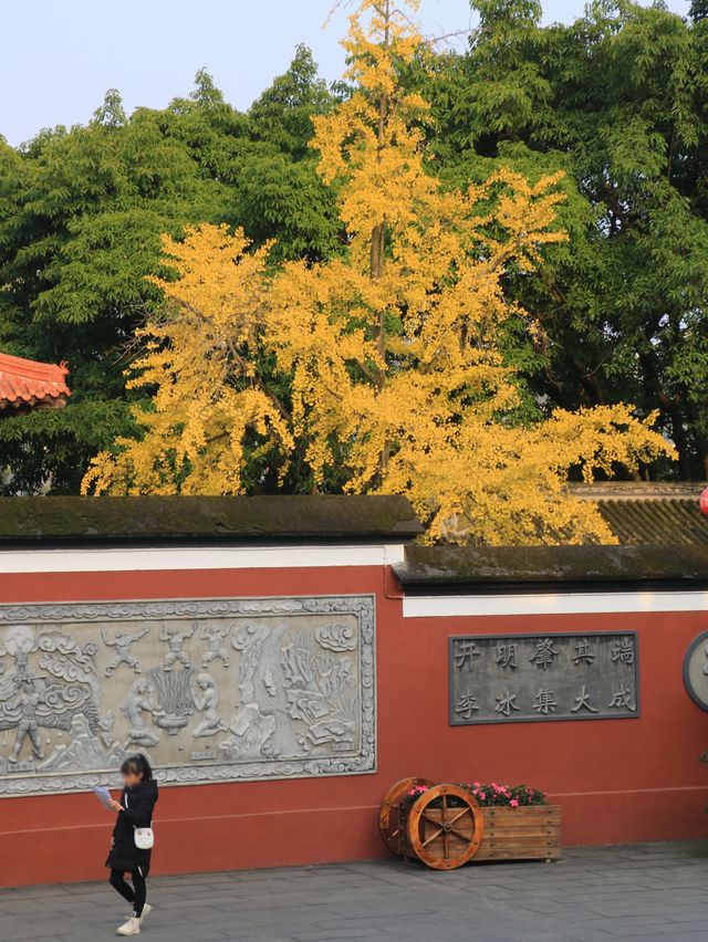 地鐵可到成都這座公園的秋天絕了～