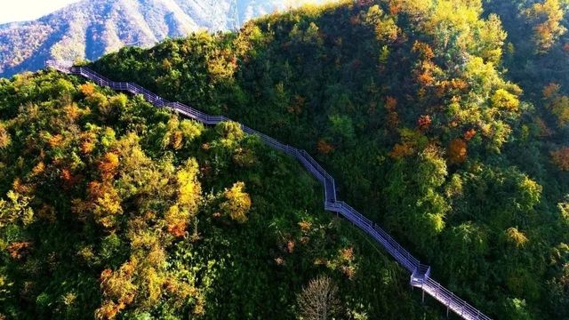 遇見冬日炫烂，遇見多彩涼山