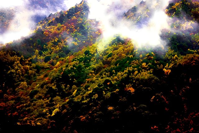 遇見冬日炫烂，遇見多彩涼山